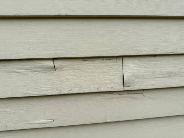 Best Demolition Debris Removal  in Lumber City, GA